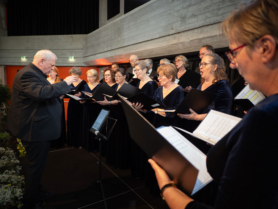 stadtchor web