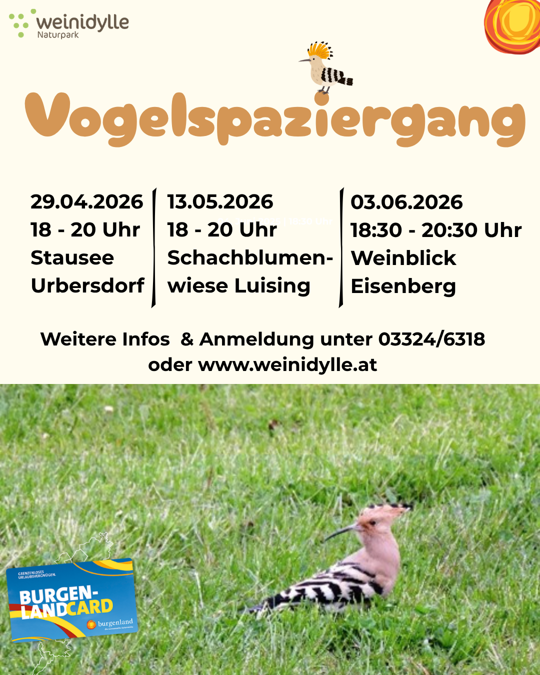 Vogelspaziergang