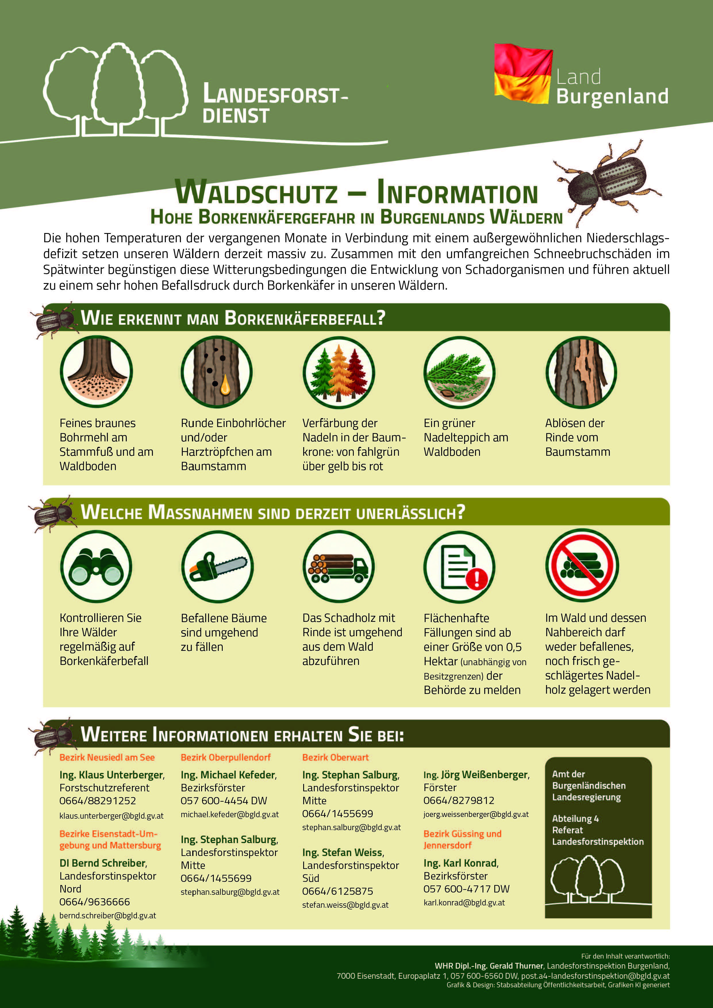 Borkenkäferbefall im Burgenland: Erkennen und Maßnahmen zur Vorbeugung und Bekämpfung.