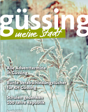 Stadtzeitung Ausgabe Dezember 2018